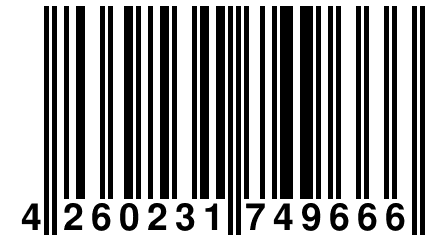 4 260231 749666