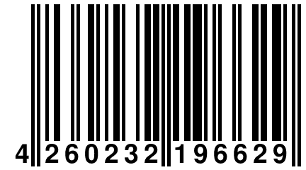 4 260232 196629