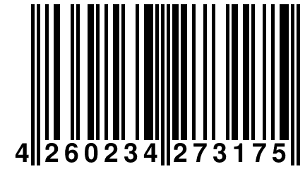 4 260234 273175