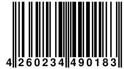 4 260234 490183