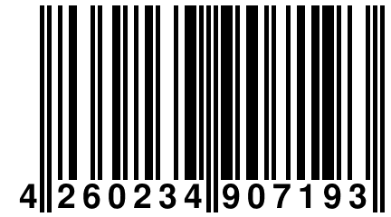 4 260234 907193