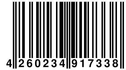 4 260234 917338