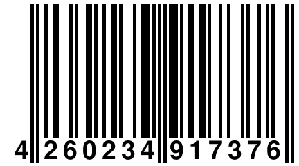 4 260234 917376