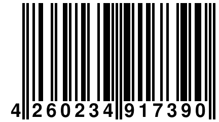 4 260234 917390