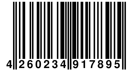 4 260234 917895