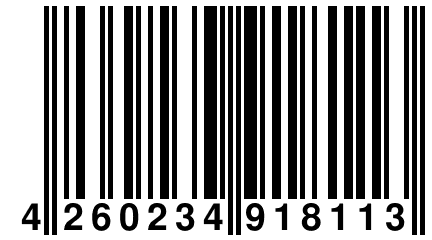 4 260234 918113