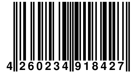 4 260234 918427