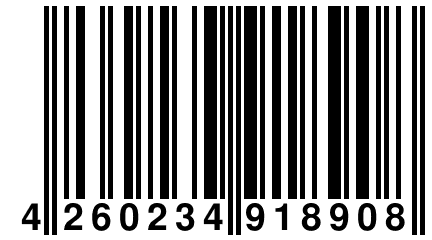 4 260234 918908