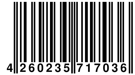 4 260235 717036