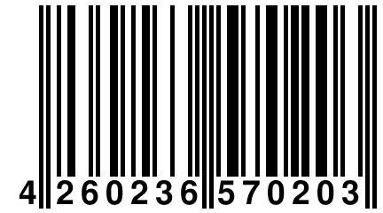 4 260236 570203