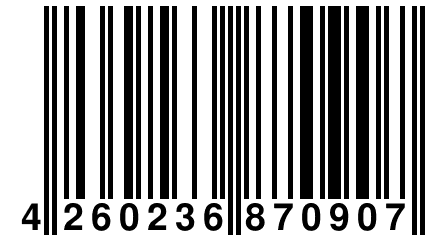 4 260236 870907