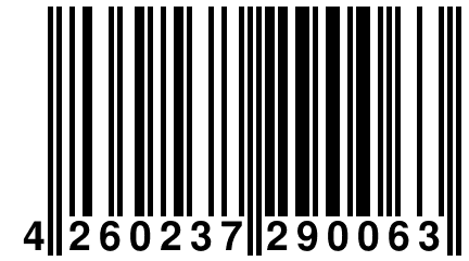 4 260237 290063