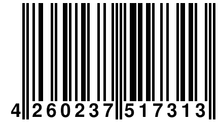 4 260237 517313