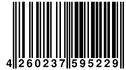 4 260237 595229