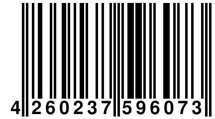 4 260237 596073