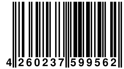 4 260237 599562