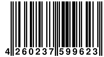 4 260237 599623