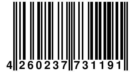 4 260237 731191