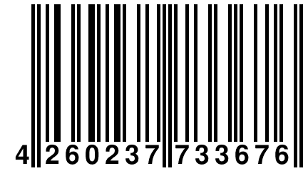 4 260237 733676