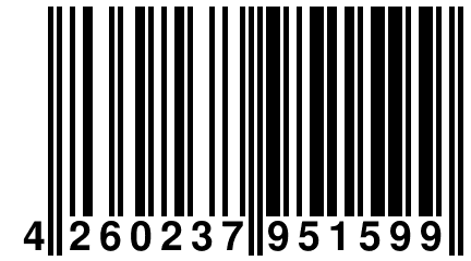 4 260237 951599