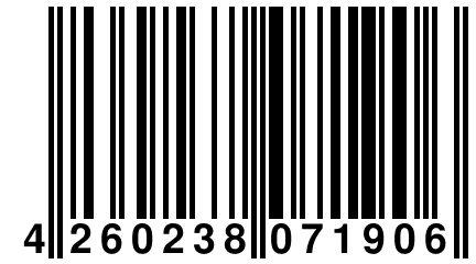 4 260238 071906