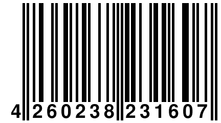 4 260238 231607