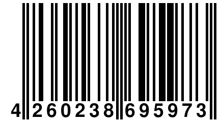 4 260238 695973