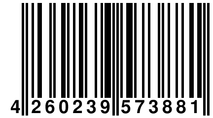 4 260239 573881