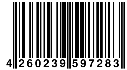 4 260239 597283