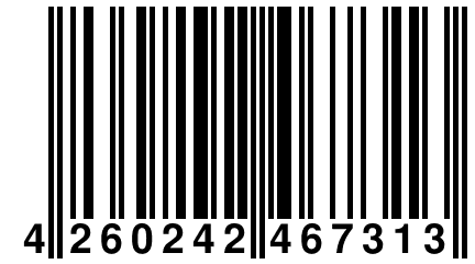 4 260242 467313