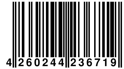 4 260244 236719