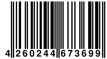 4 260244 673699