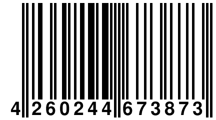 4 260244 673873