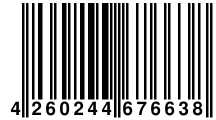 4 260244 676638