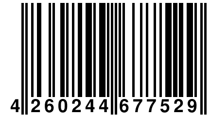 4 260244 677529