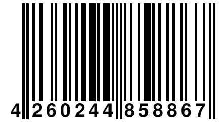 4 260244 858867