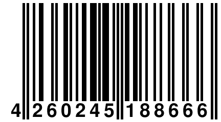 4 260245 188666