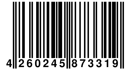 4 260245 873319