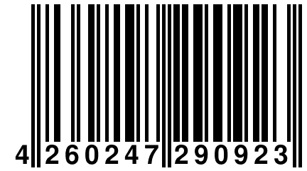 4 260247 290923