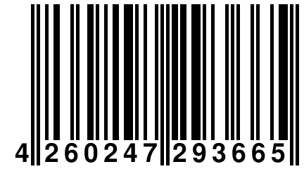 4 260247 293665