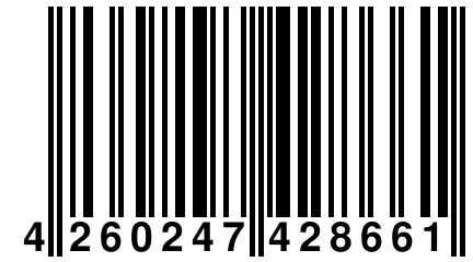 4 260247 428661