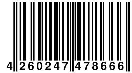 4 260247 478666