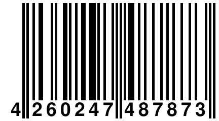 4 260247 487873