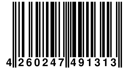 4 260247 491313