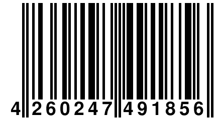 4 260247 491856