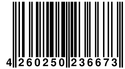 4 260250 236673