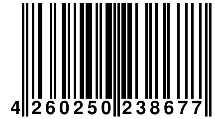 4 260250 238677