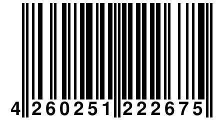 4 260251 222675