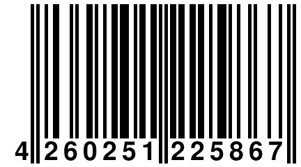 4 260251 225867