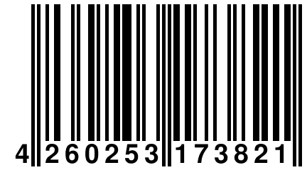 4 260253 173821